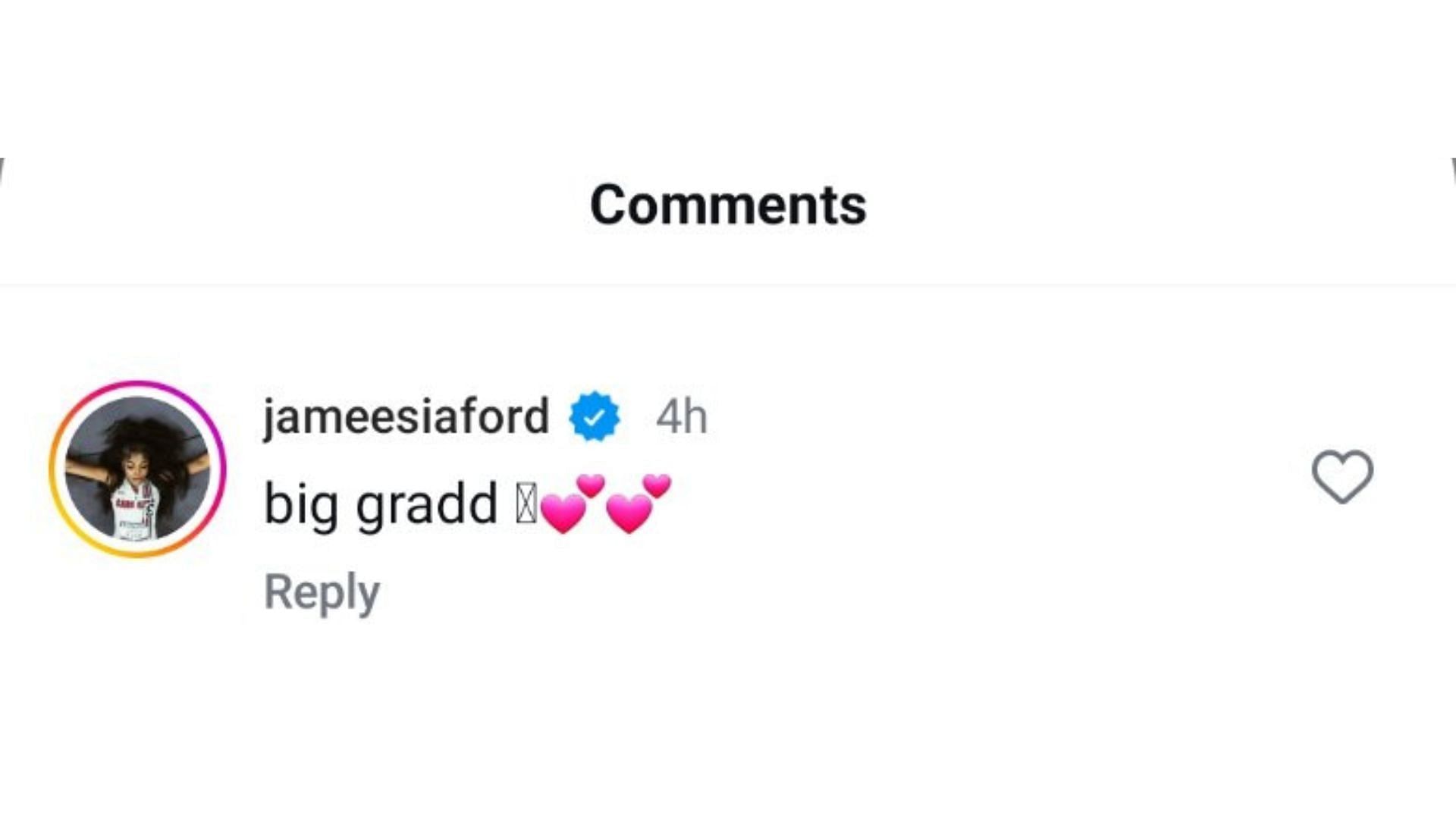 JaMeesia Ford commented on Jayla Fulwiley's Instagram post. Source: Instagram/@jaylaamonieee